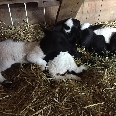 Séjour à la ferme Payr Patergassen