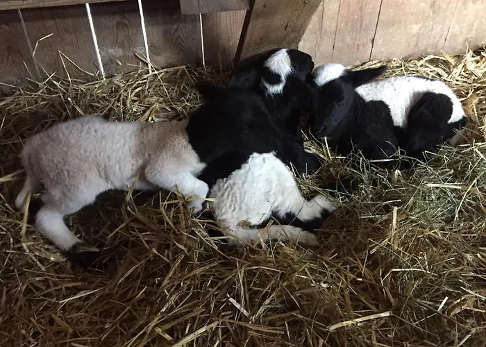 Bauernhof Payr Patergassen